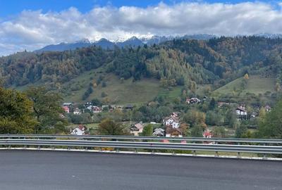 Teren extravilan cu priveliste catre Bucegi – Moieciu de Jos 4.700 mp - 9