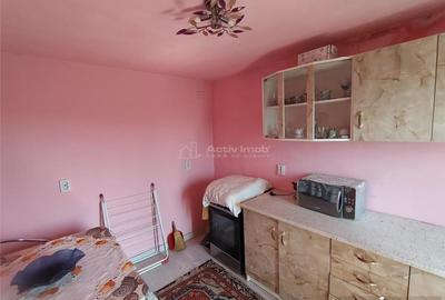 Caransebes, Casa cu Teren de 585 Mp, Zona Sesu Rosu - 15