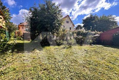 Casa pe un singur nivel cu 3 camere+pivnita. Pod si curte-Zona Sub Arini - 24