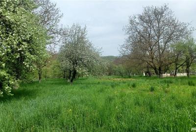 Casă cu 2 camere în Nimigea - 4
