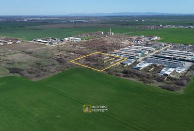 Teren Construcții intravilan de 10045 mp, în Sud - 3