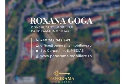Teren intravilan de 8.000 mp - Oportunitate strategică lângă centura - 4