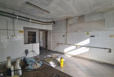 CASA CU CURTE - RACADAU - 7