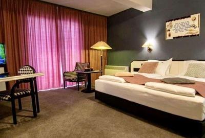 Spațiu comercial, de 761 mp, în Săpânța - 8