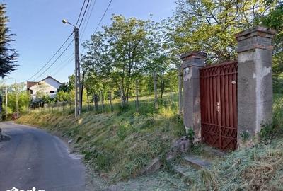 Teren de 14400 mp, în Iorga - 4
