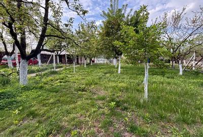 Casă individuală cu 3 camere cu Canalizare în Rogova - 2