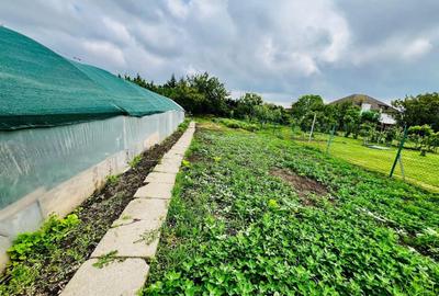 Casă individuală cu 5 camere cu Canalizare în Mehala - 13