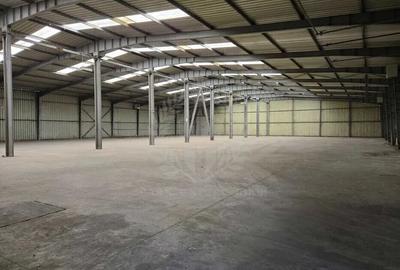 HALA 2300 MP//PARCUL INDUSTRIAL//ZONA YAZAKI - 5