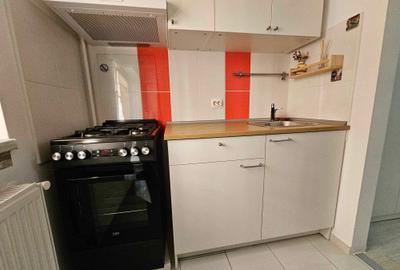 Garsonieră semidecomandată, mobilată în Ozana - 6