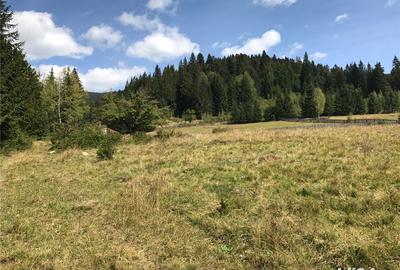 Casă cu 2 camere în Nisipitu - 4