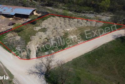 Teren de 2169 mp, în Albești - 7