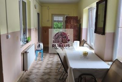 Refugiul la marginea pădurii in Orșova, pe malul Dunării - 9