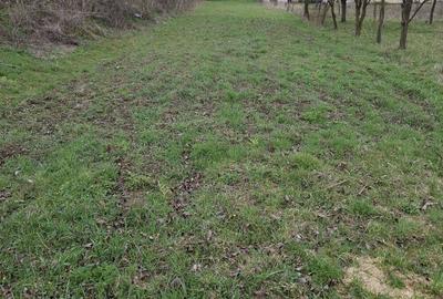 Casa 3 camere, bucatarie, baie , beci , teren 2500mp , Subcetate, Hunedoara - 2