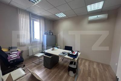 Birou, de 480 mp, în Brazda lui Novac - 13