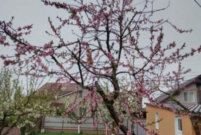 Casă cu 3 camere cu Teren 460 Mp în Ernei