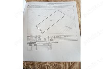 Padure de vanzare zona Comuna Draganesti sat Hatcarau - 6