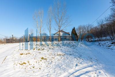 Proprietate cu casa si spatiu comercial+teren 4060 mp Bahna - 9