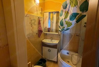 Apartament cu 3 camere decomandat în Sud - 13