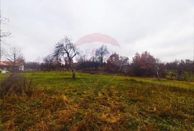Teren de vanzare Unguras cu priveliste si anexe - 7