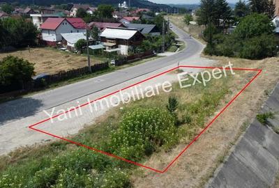 Teren de 393 mp, în Central - 11