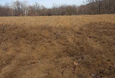 Teren de 3370 mp, în Moșoaia - 5