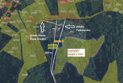 Teren Colinar Panoramic - 17.684 mp in Scheii Brasovului - 10