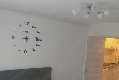 Vand camera de camin transformata in garsoniera - 9