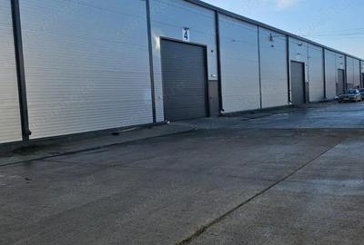 Hala 590 mp Afumati - 2