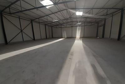 Doua hale lipite, total 1200mp, zona Drumul Intre Tarlale - 4