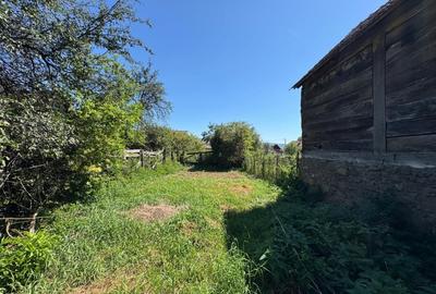 Comuna Augustin, casa batraneasca, locuibila, necesita renovare! - 18