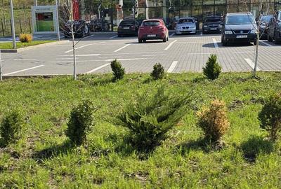 Apartament 2 camere Apartament 2 camere - 5