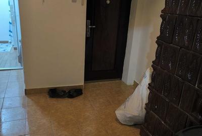 Apartament cu 2 camere decomandat în Cărpiniș - 1