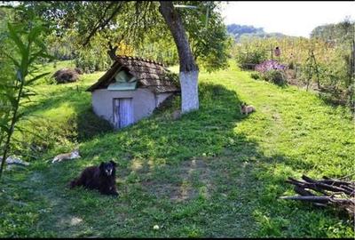 Casă cu 3 camere în Lopadea Nouă - 6