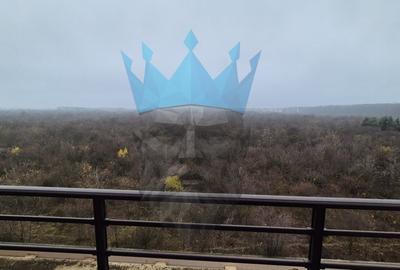 Apartament 3 Camere Baneasa - 7