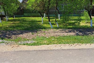 Casă cu 4 camere în Gurba - 7