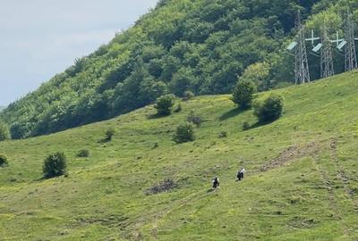 Teren intravilan de 1000 mp, în Valea Doftanei - 3