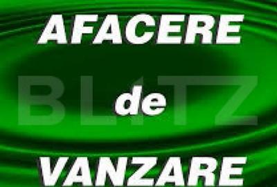 Afacere la cheie! Cladire individuala, 500 mp, plus 9 ari t - 1