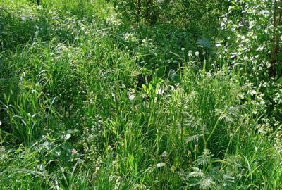 Spațiu comercial, în Viile Satu Mare - 3