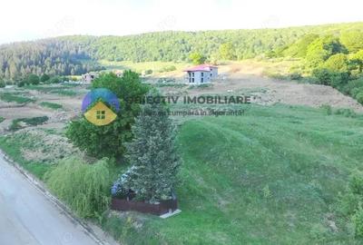 TEREN intravilan PIATRA NEAMT strada DRAGOS VODA (Valea Viei) - 1