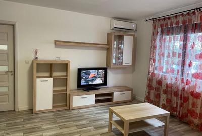 Apartament cu 2 camere decomandat în Lacu - 2