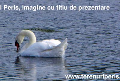 Terenuri IN RATE 500 /luna, teren 25 langa Saftica, Balotesti - 9