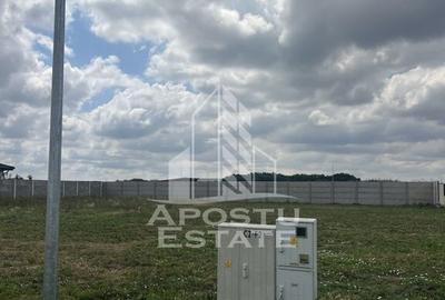 Teren de 608 mp, în Ghiroda - 3