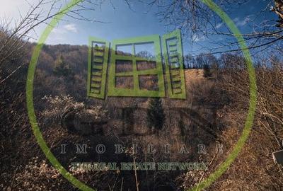 Teren de 20000 mp, în Schei - 3