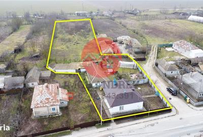 Casă cu 4 camere cu Teren 4489 Mp în Murighiol - 6