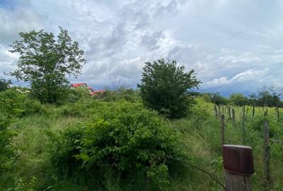 Teren 2133 m² cu utilitati si iesire la drum asfaltat – Clinceni - 19