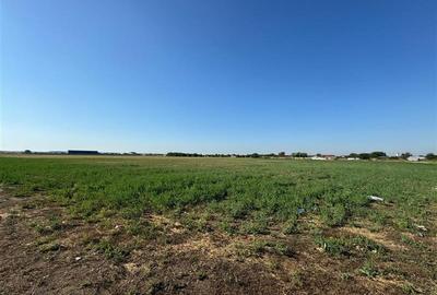 TEREN PRETABIL HALE SAU FABRICA - 6