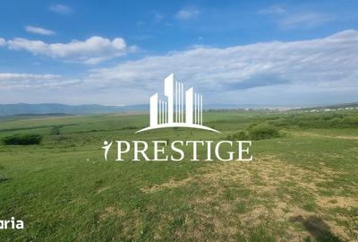 Teren de 2000 mp, în Trei Stejari - 6