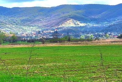 Teren de 10000 mp, în Unguriu - 2