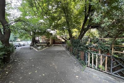 Spațiu comercial, de 238 mp, în Baba Novac - 3