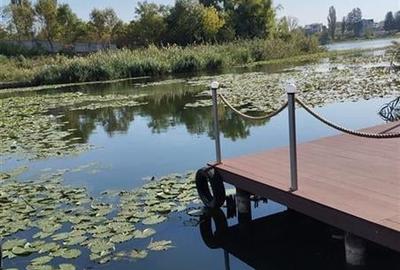Vila de vanzare cu iesire (ponton) la lacul Snagov, in Izvorani - 11